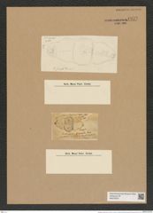 Biddulphia sinuata Grev. (de-Toni-Nr.: Genus 123, Species 3483) Zeichnungen Sammlung Grunow Nr. 6977 (NHMW-BOT-W0375879)